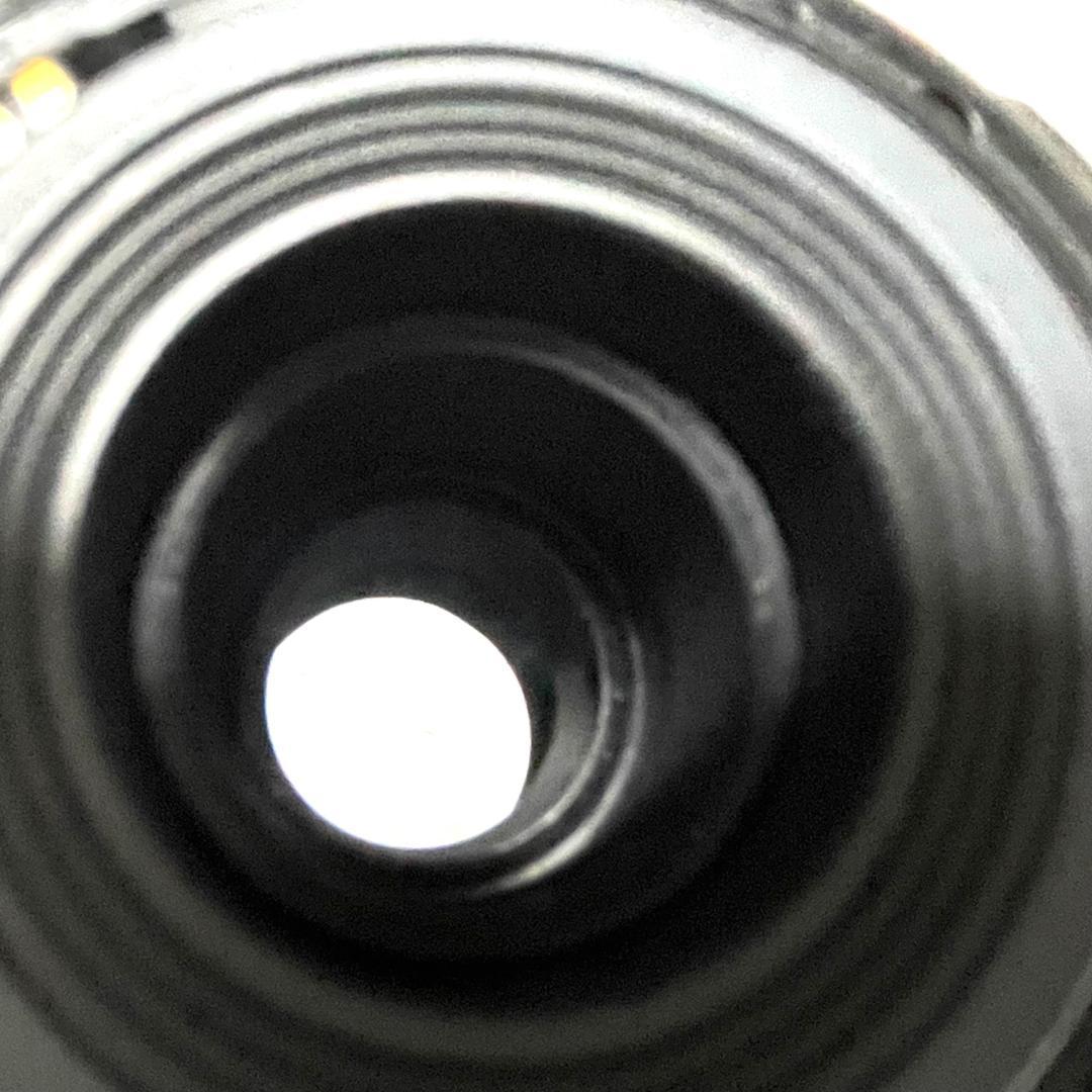 遠くをクッキリ撮れる❣️ EF-S 55-250mm 望遠ズームレンズ 軽量✨