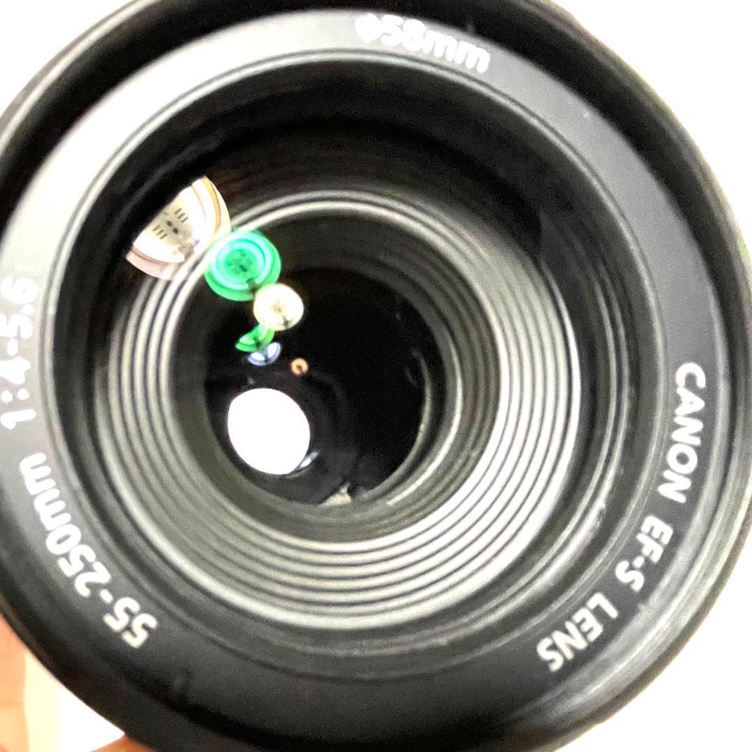 遠くをクッキリ撮れる❣️ EF-S 55-250mm 望遠ズームレンズ 軽量✨