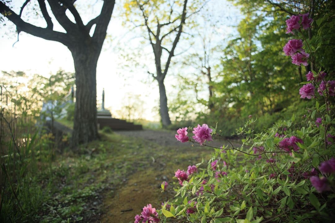 《希少》TAMRON SP 24-48mm F3.5-3.8 13A【光学美品】