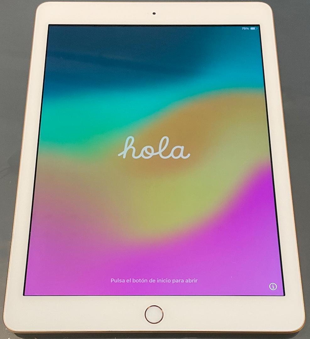 動作品 Apple iPad (第6世代) wifi 32GB ゴールド