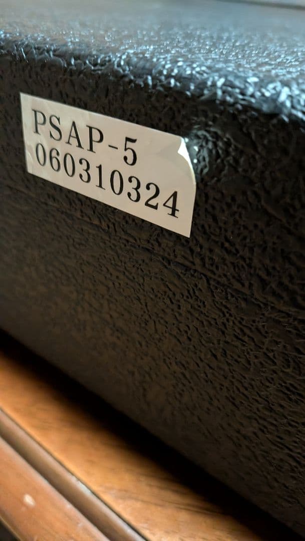 yme1051さま専用　シルバートーン　PS-AP5　ポールスタンレー　KISS