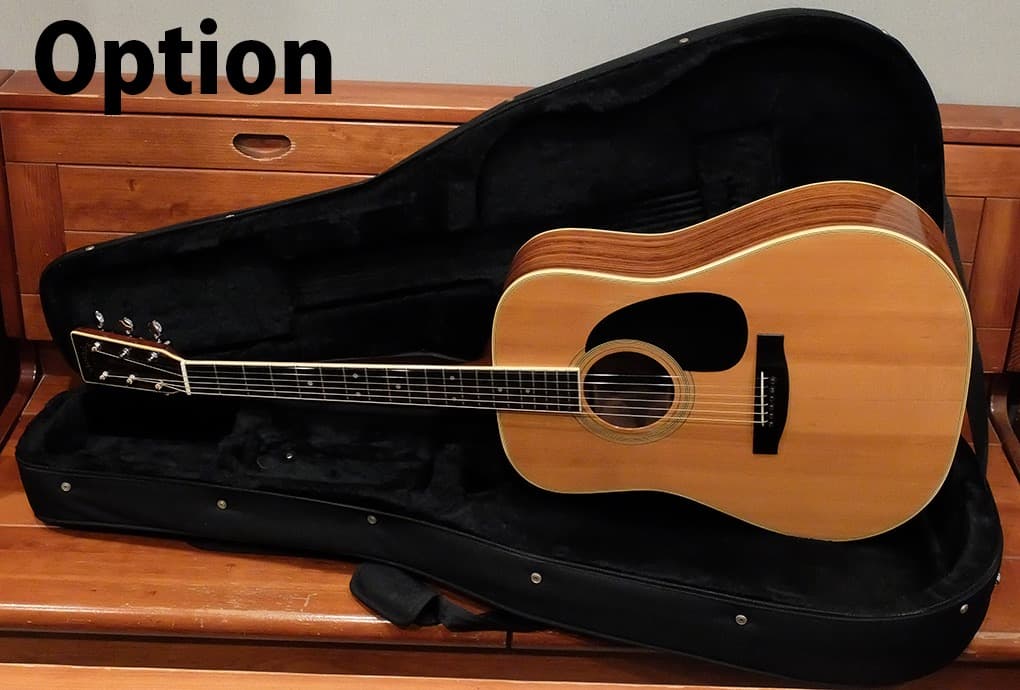 Morales LYRE BIRD M-50 セミハードケース付き