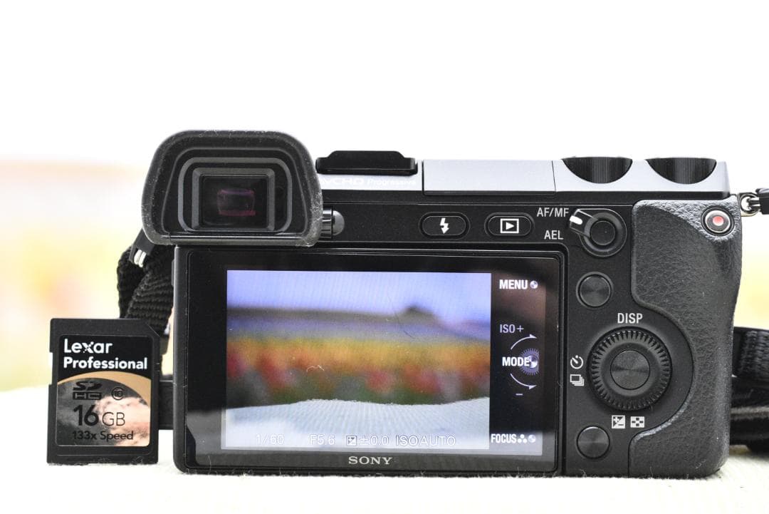 ショット数33枚 ソニー SONY α NEX-7 + 18-55mm