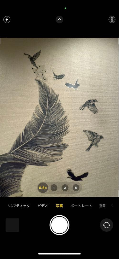 Apple iPhone 15 Pro Max 本体 512GB