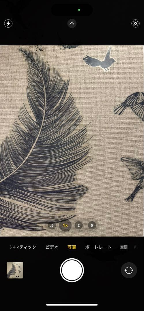 Apple iPhone 15 Pro Max 本体 512GB