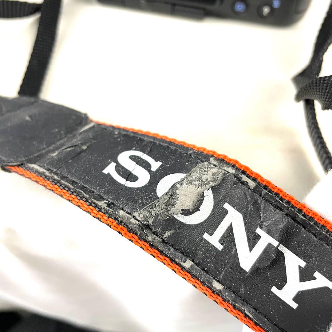 SONY ソニー デジタル一眼レフカメラ a65 SLT-A65V