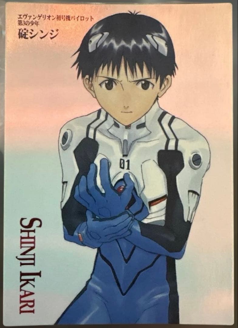 カードダスマスターズ ヱヴァンゲリヲン 新劇場版:序 ノーマルコンプまとめ売り