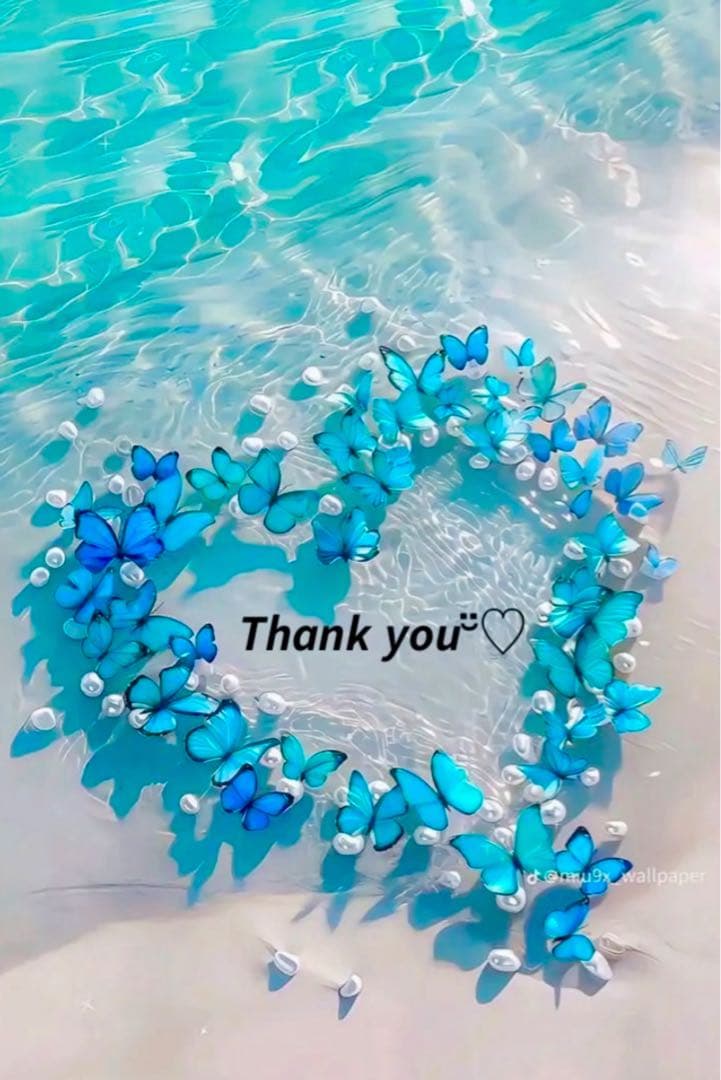 ❤️ たまたん様❤️