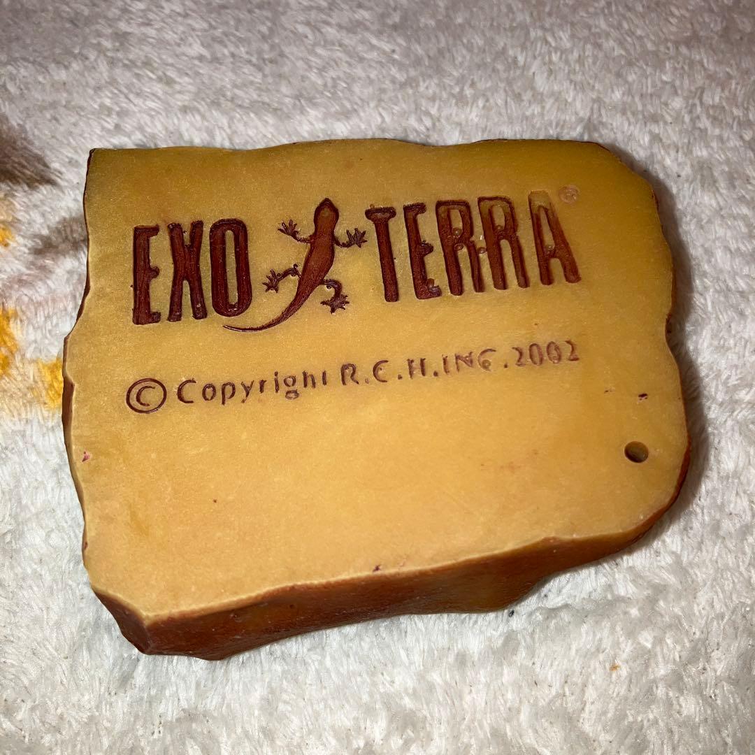 EXO TERRA（エキゾテラ） レオパ飼育キット／グラステラリウム3030