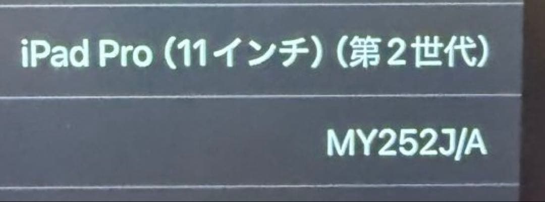 iPad Pro 11インチ 128 Apple Pencil、カバー　付属品有