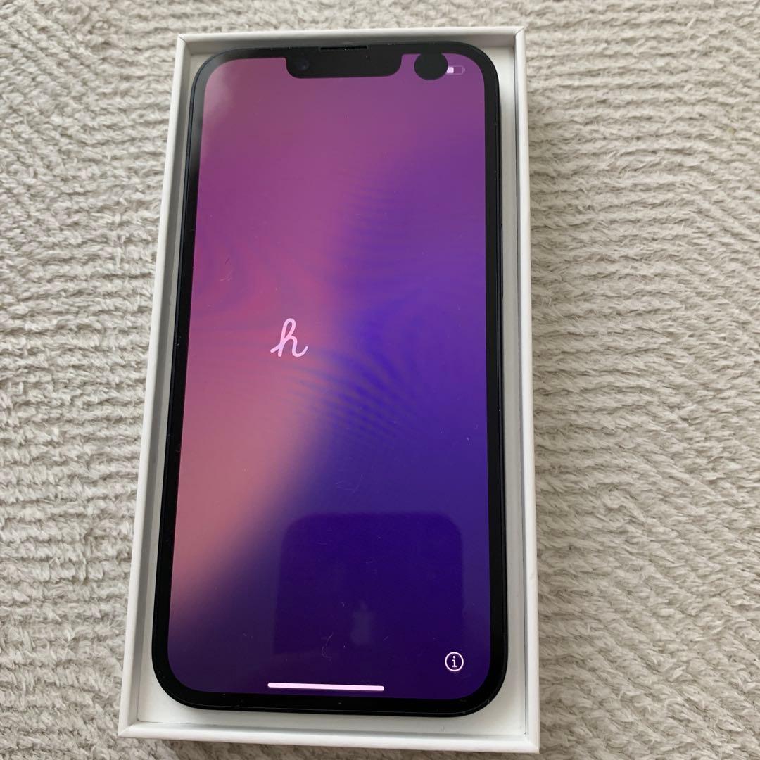 Apple iPhone16e 本体 (背面ひび割れ) ジャンク