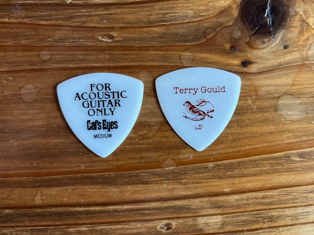 ARIA エレアコ FET-R1