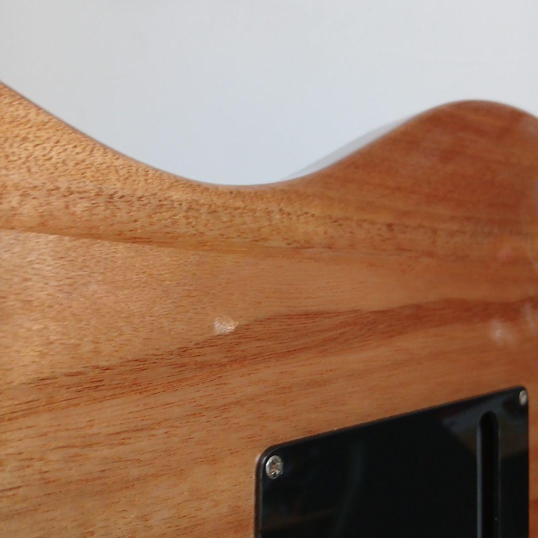 PRS　SE Custom 24 エレキギター グリーン