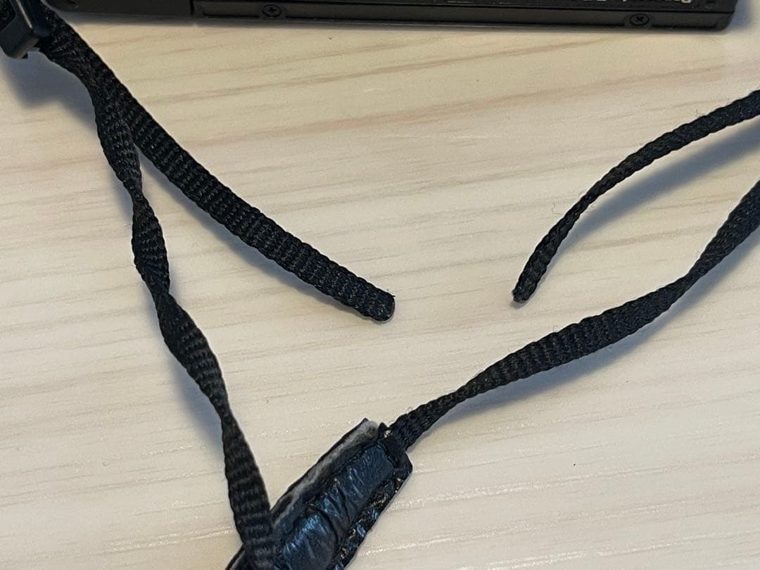 Panasonic DMC-LX9 4Kデジタルカメラ