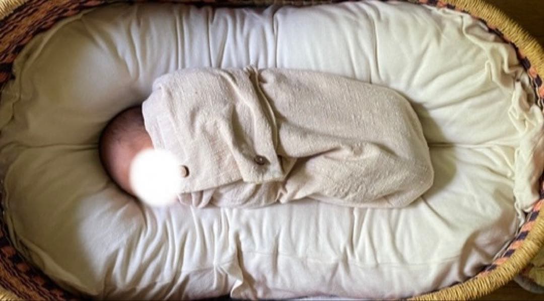 Snuggle me organic ベビーネスト