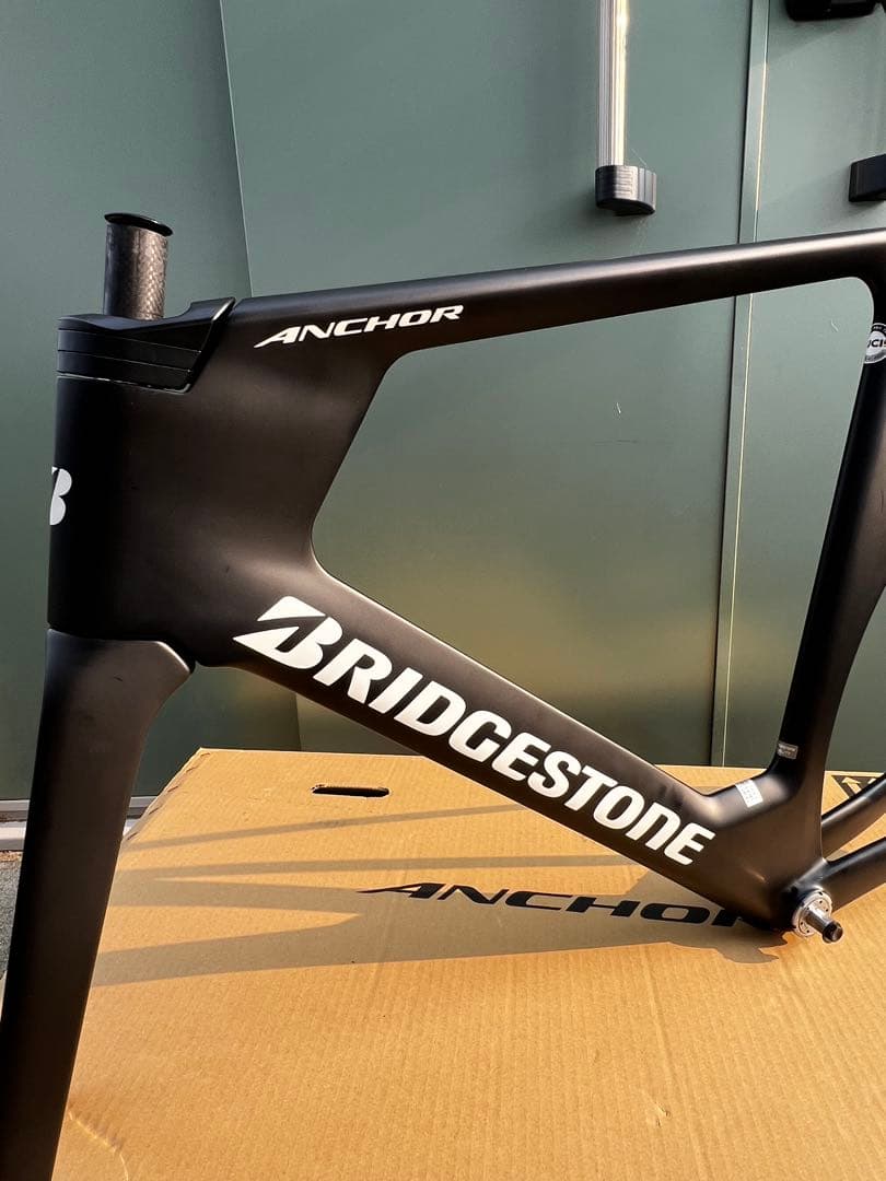 ブリヂストン　カーボンフレーム　ＴＥ９　Ｌサイズ