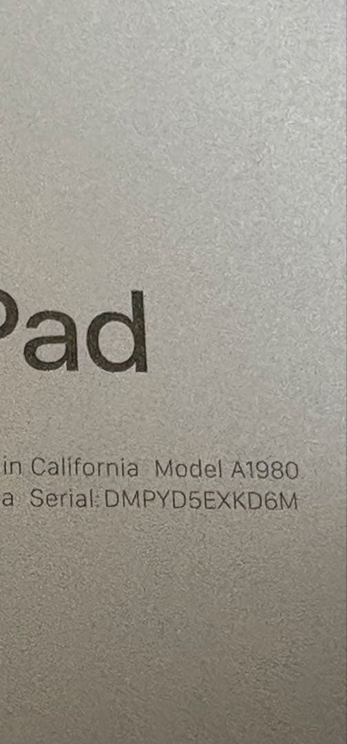 iPad Pro 第1世代 256GB Apple Pencil 第2世代　替芯