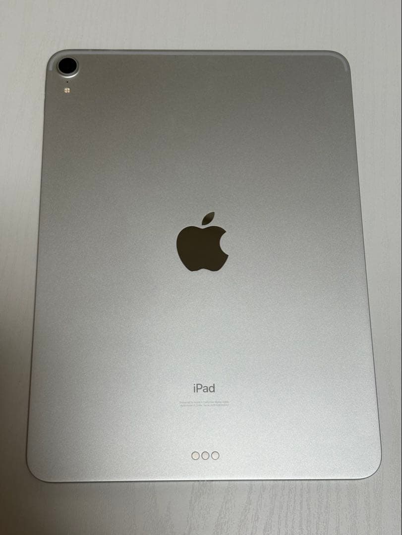 iPad Pro 第1世代 256GB Apple Pencil 第2世代　替芯