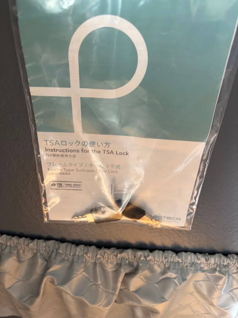 ACE プロテカ エキノックスライトα Lサイズ