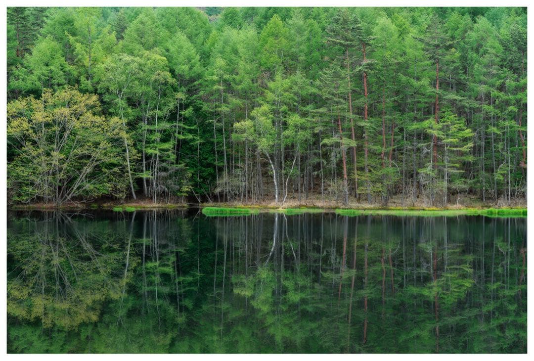 SONY α7RⅡ 本体 ソニー