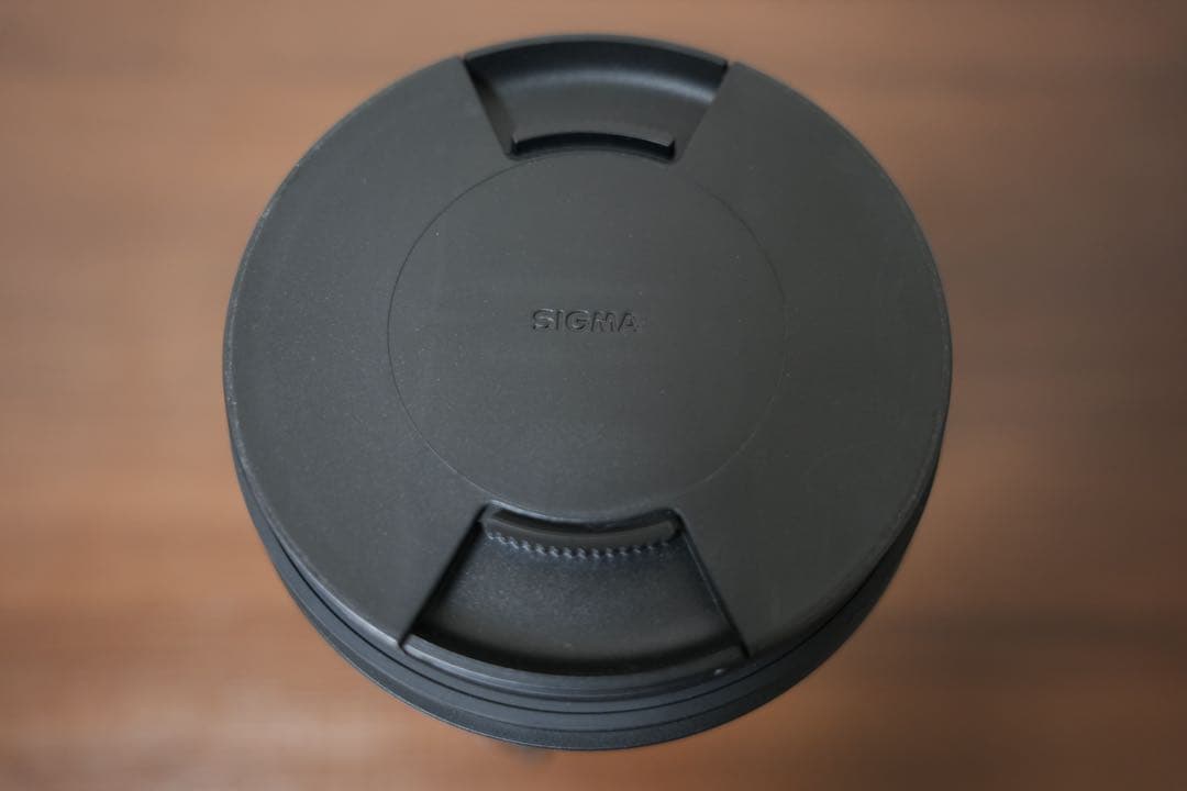 SIGMA 150-600mm F5-6.3 DG DN OS Eマウント