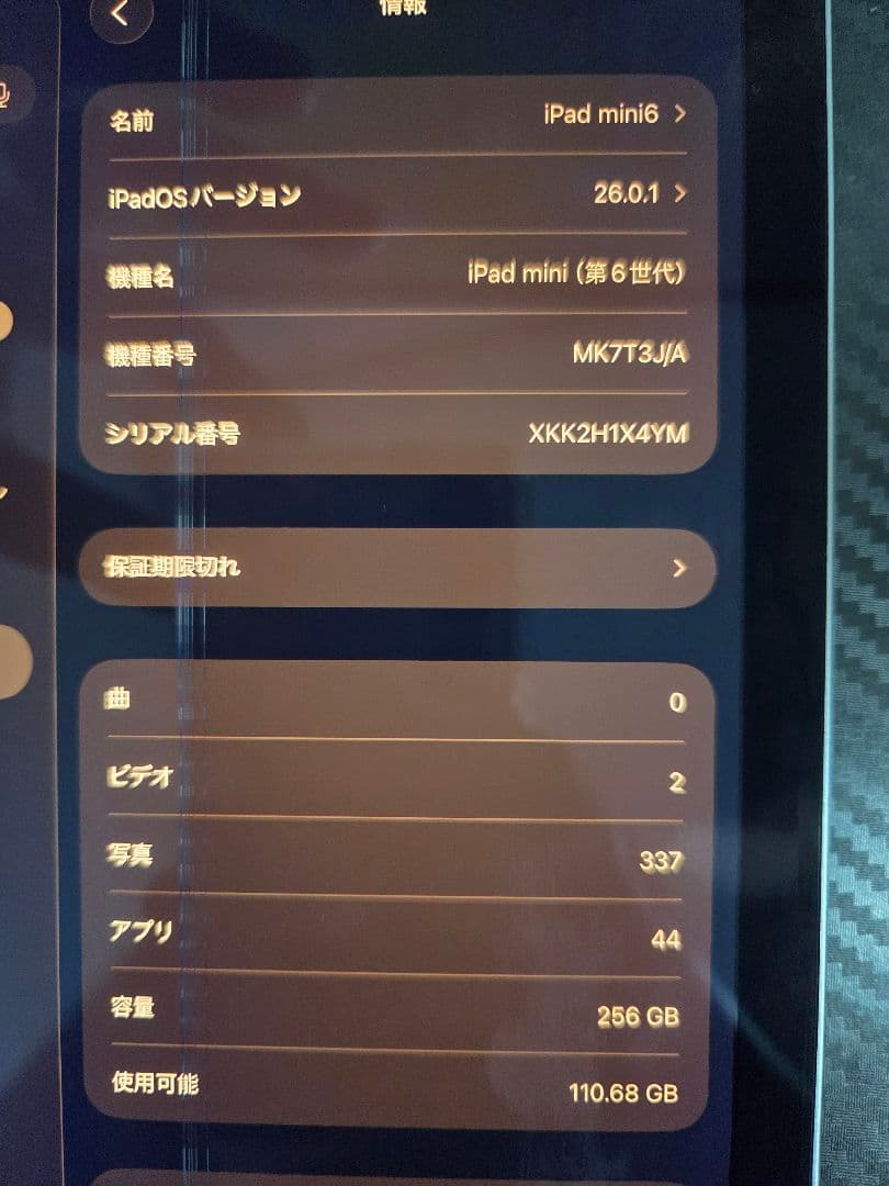 iPad mini 第6世代 256GB スペースグレイ 本体　ジャンク