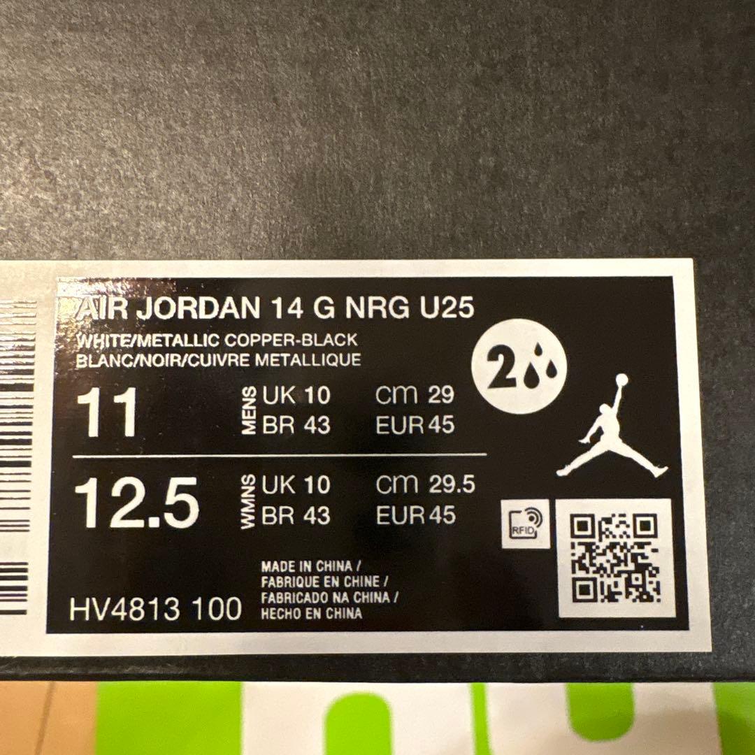 エアジョーダン 14G NRG usopen 29 ゴルフシューズ