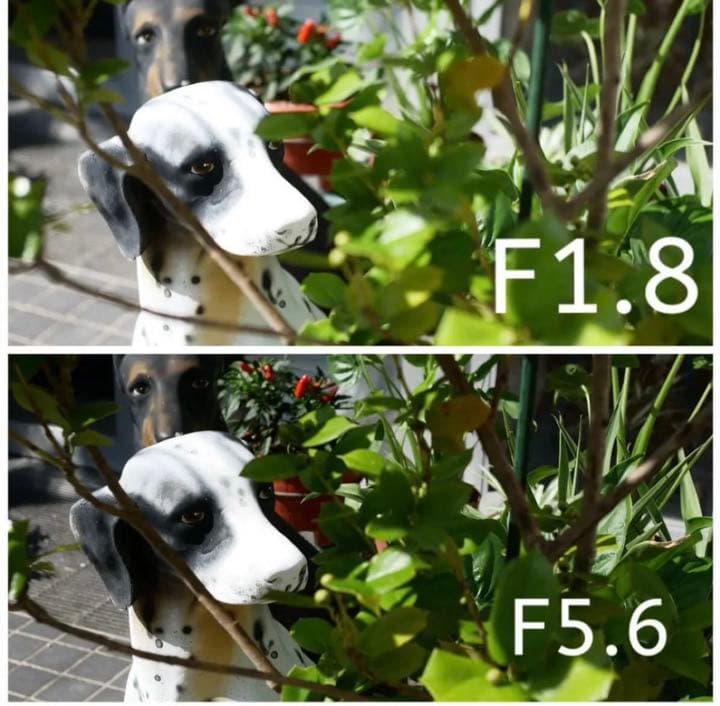 25mm F1.8 写真が上達！単焦点レンズ！軽量！お散歩レンズ！SONY対応！