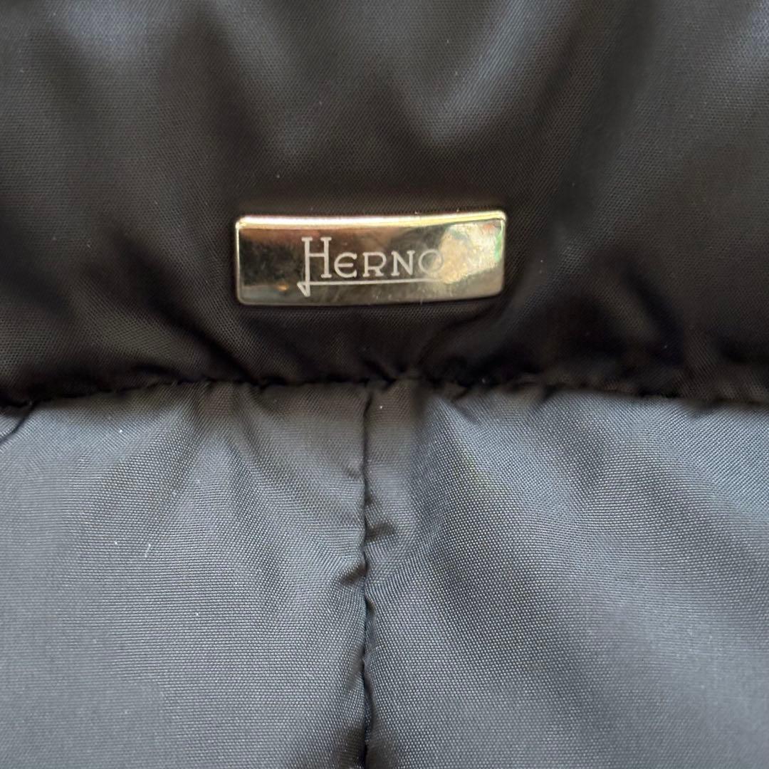 【美品】ヘルノ HERNO ダウンコート ダウンジャケット ナイロンシャモニー