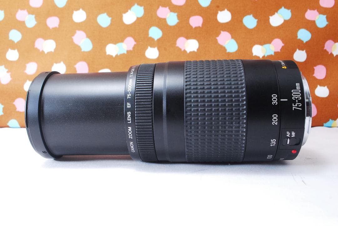 ✨人気の望遠レンズ✨Canon EF 75-300mm F4-5.6 Ⅱ