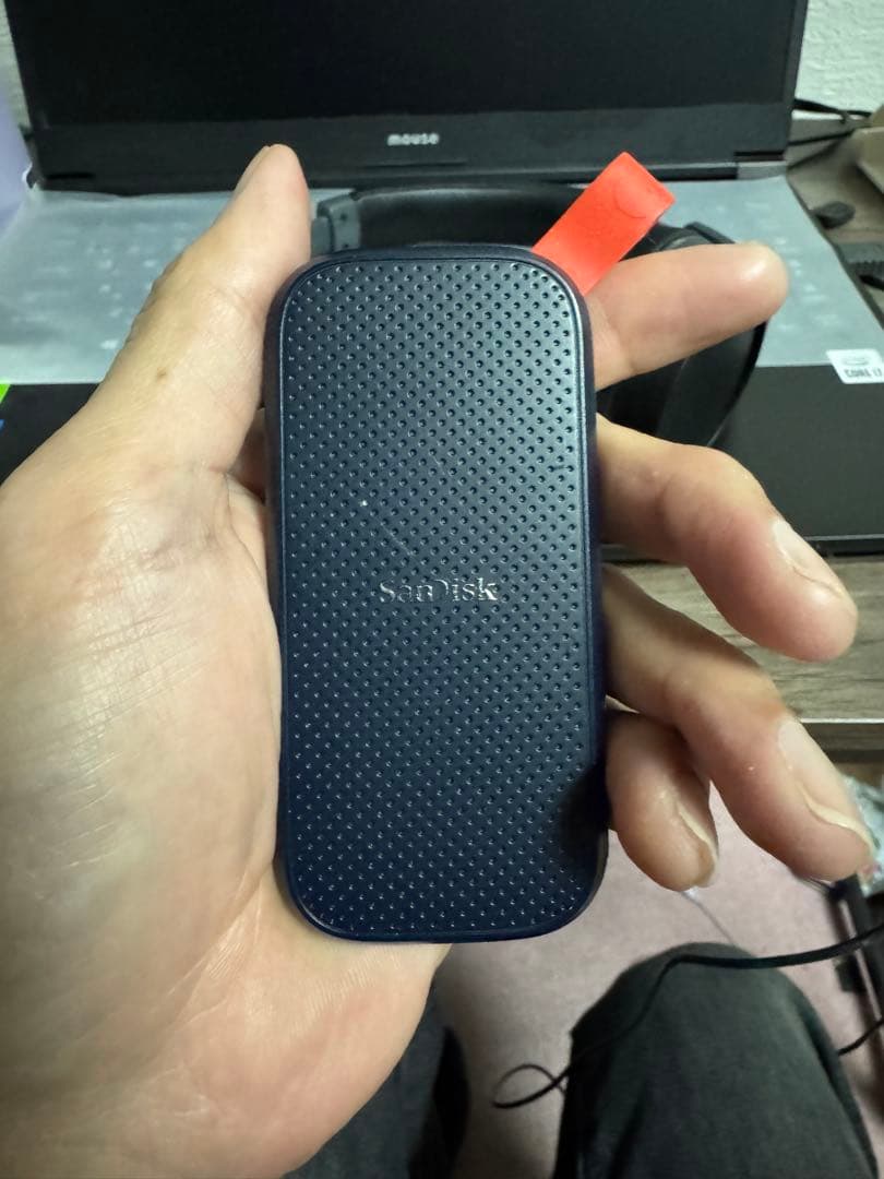 SanDisk ポータブルSSD 1TB SSDSDX20-1T00