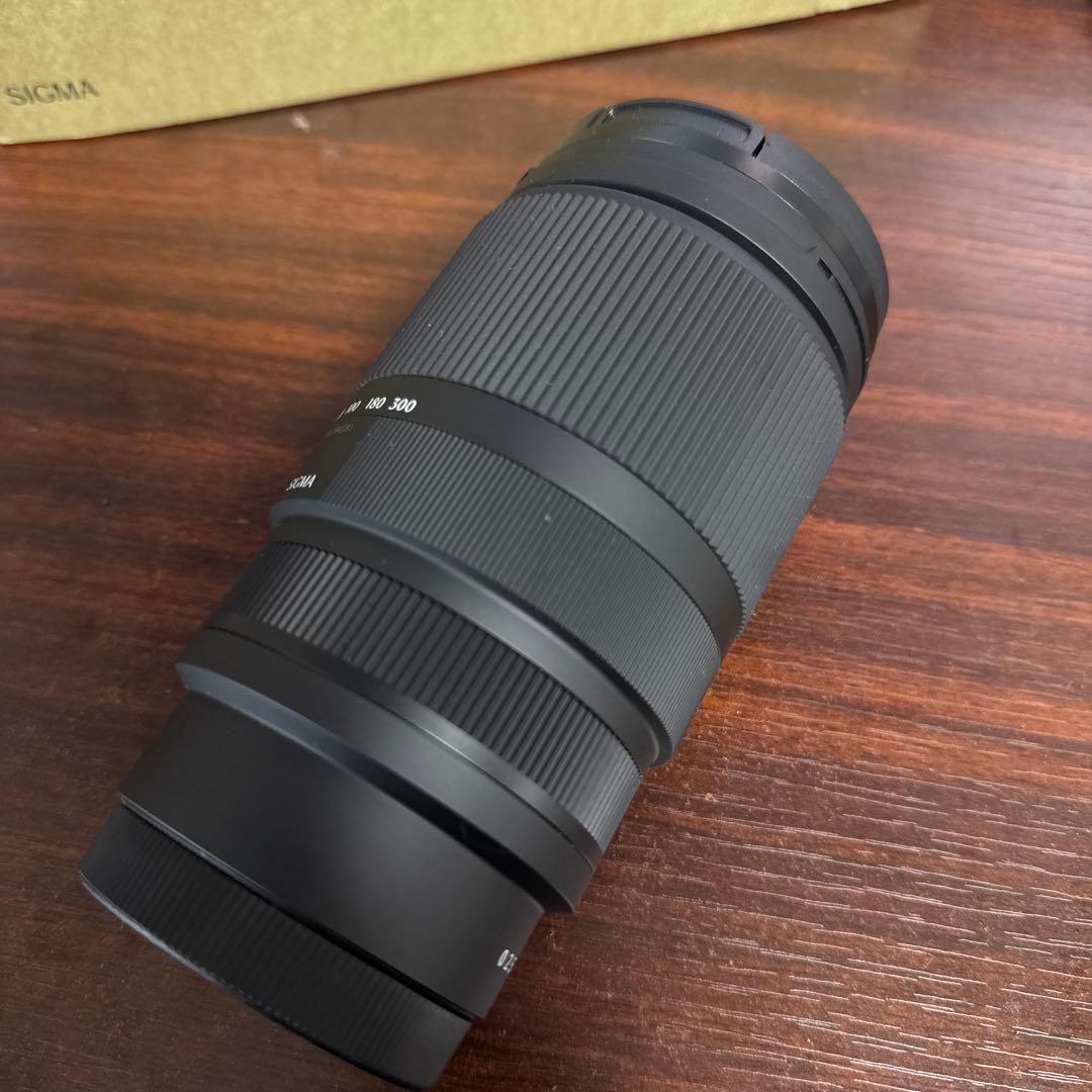 sony eマウントSIGMA コンテンポラリ16-300mm F3.5-6.7
