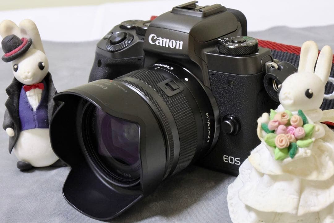 Canon EOS M5レンズセット