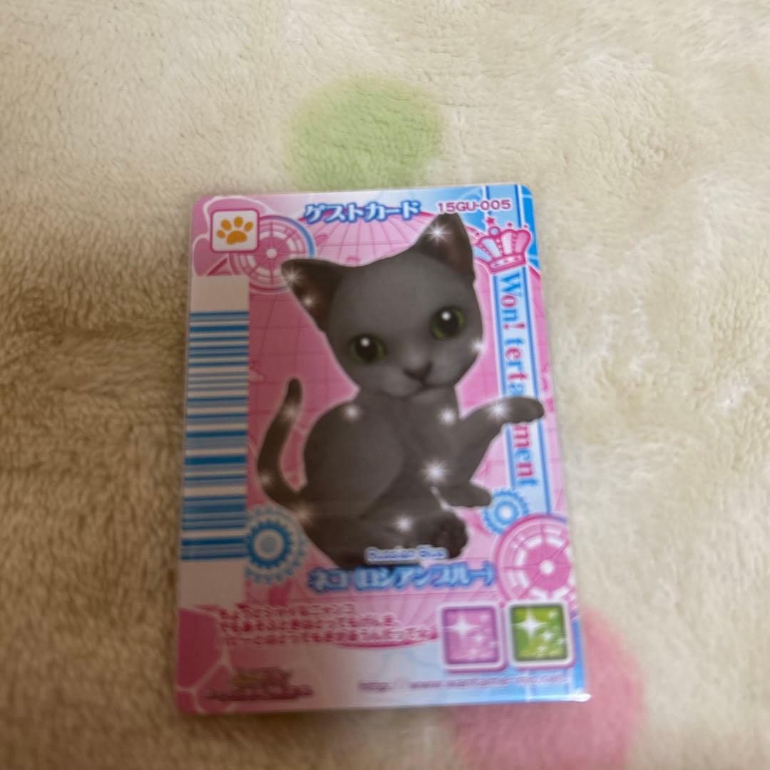 ワンタメ　カード　m＊プロフ必読様確認用