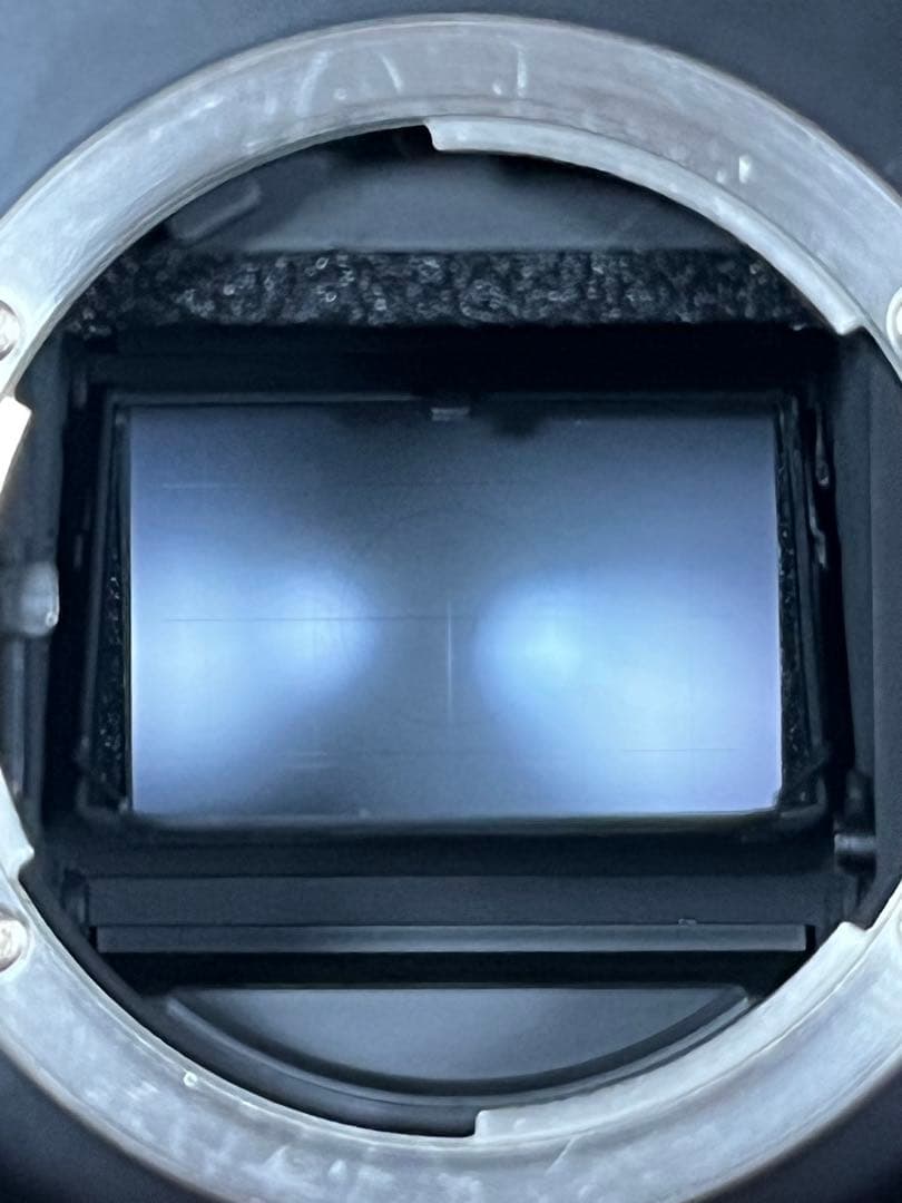 ニコン F2 アイレベル 黒 純正OH 美品