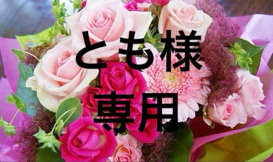 とも172かぐらやAラインOP(ワイン)/239①⑤