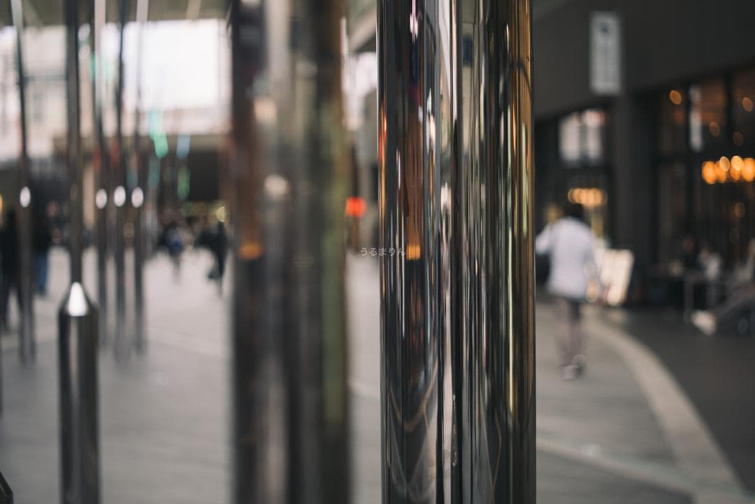 ライカの神マクロ！Leica Elmar 65mm F3.5 Visoflex