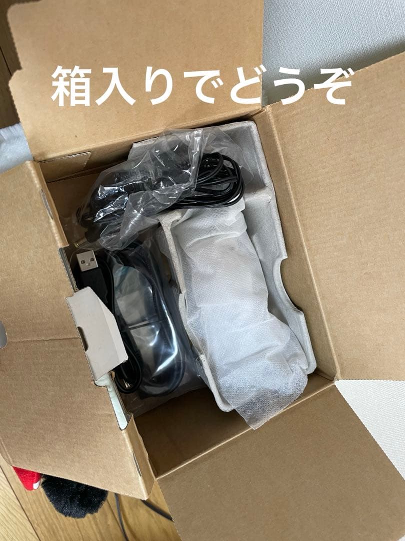 GE-E355-N JVC ハンディカム