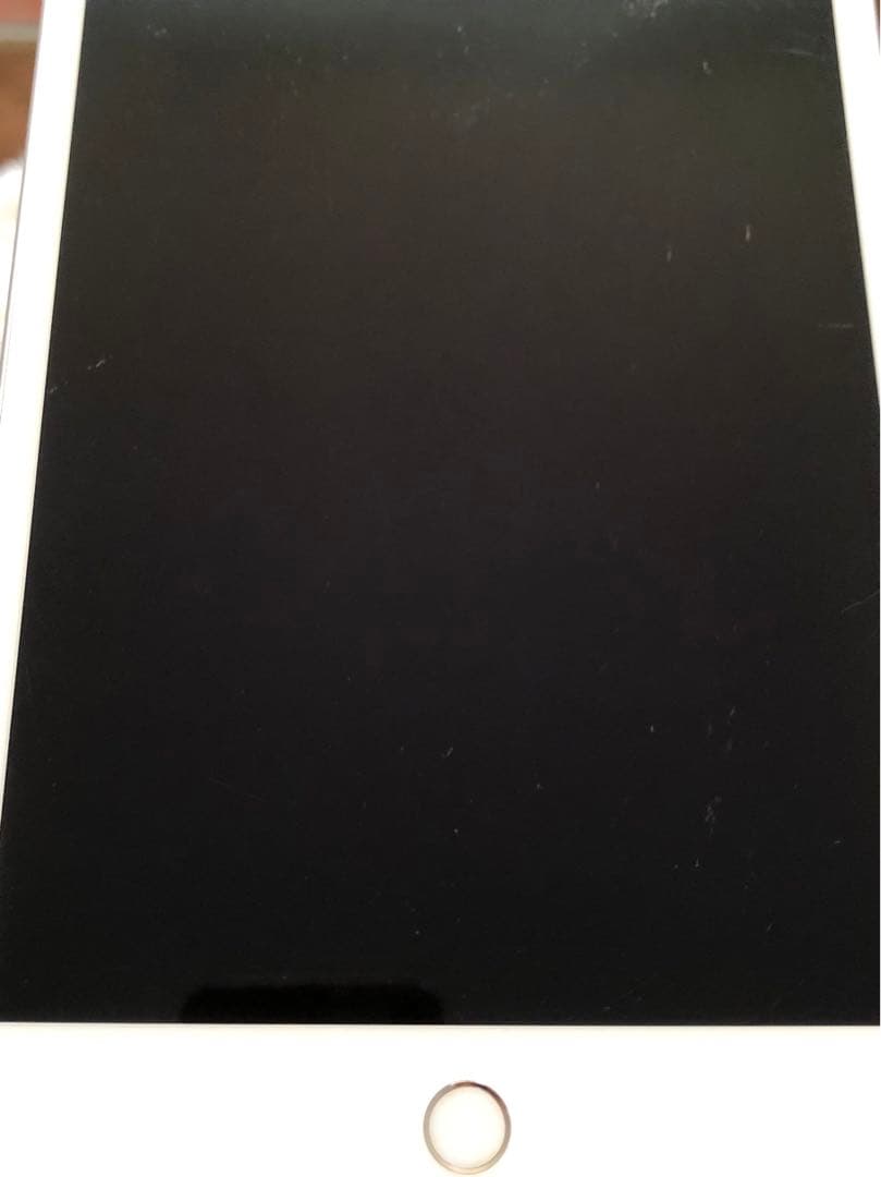 【1/2販売終了】iPad mini5 64GB SIMフリー 【すぐ発送】