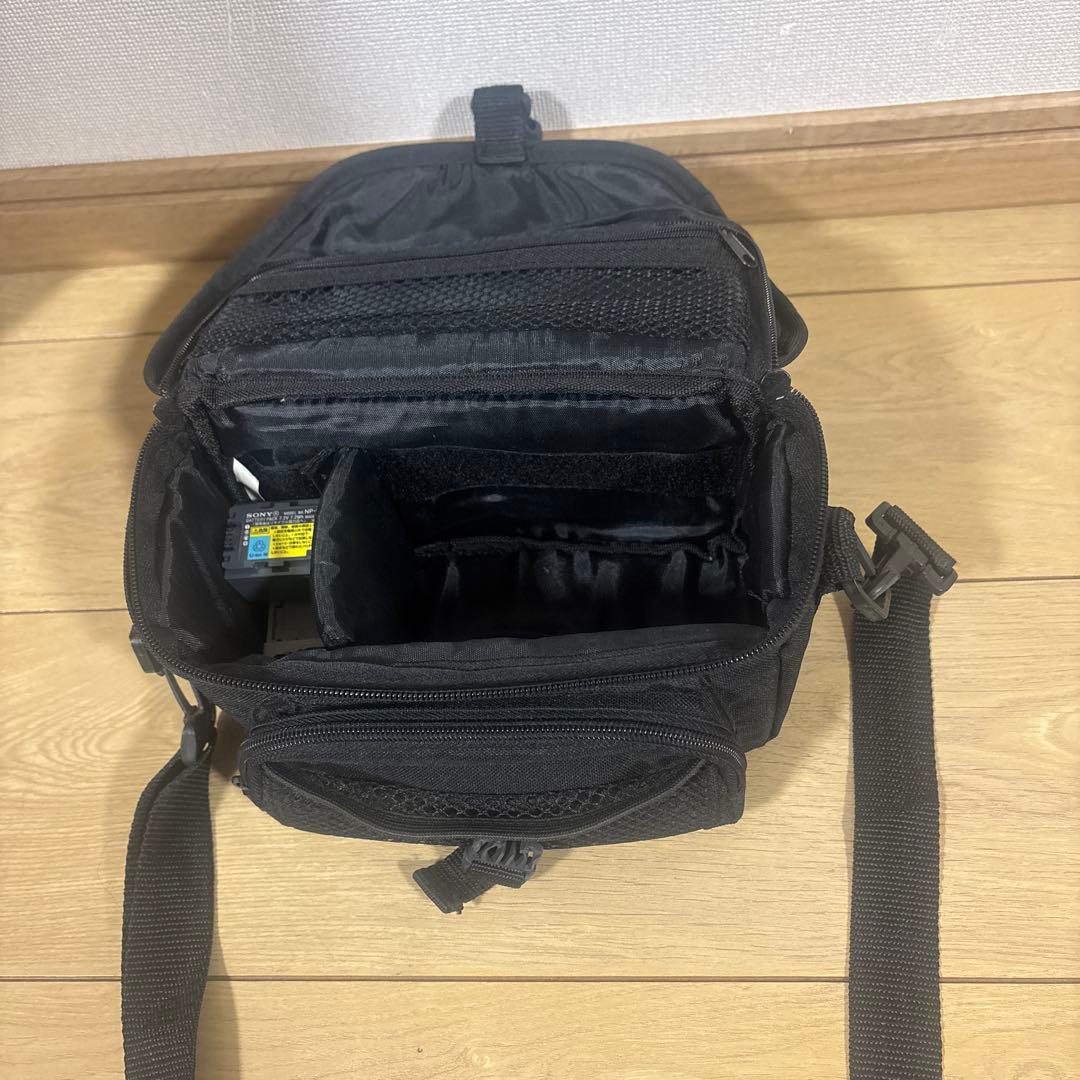 【動作品】 美品 SONY Handycam DCR-SR100 シルバーソニー