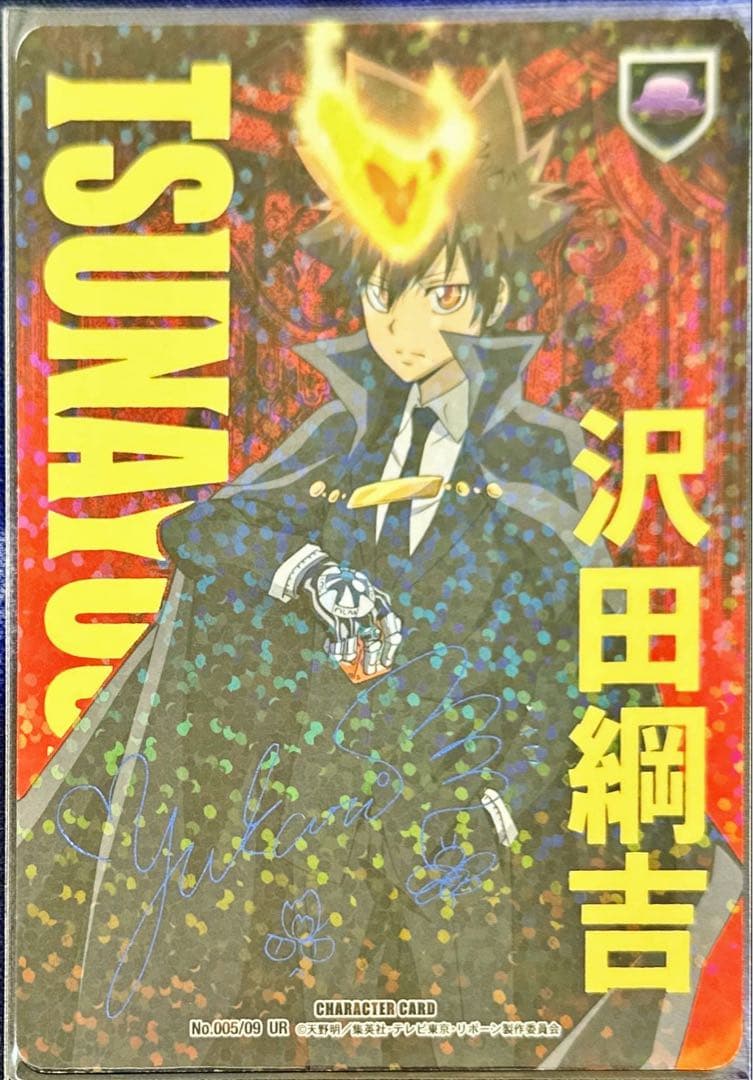 沢田綱吉 CCG B09 サインあり ボンゴレ匣 ツナ