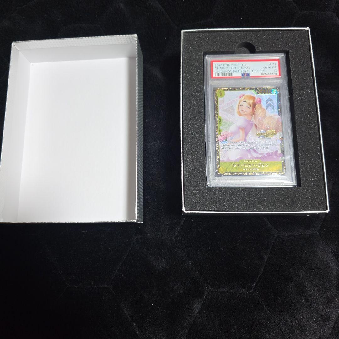 シャーロットプリン　チャンピオンシップ