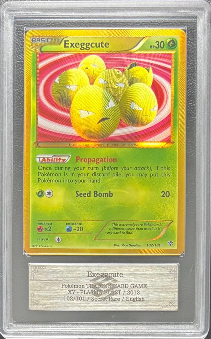 【ARS8】タマタマ 英語 102/101 UR ぞうしょく