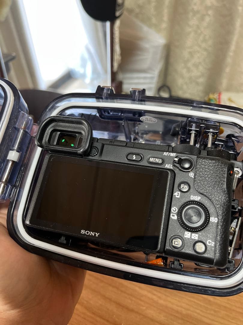 SONY α6400 + Sigma 19mm f2.8 + 水中ケージ