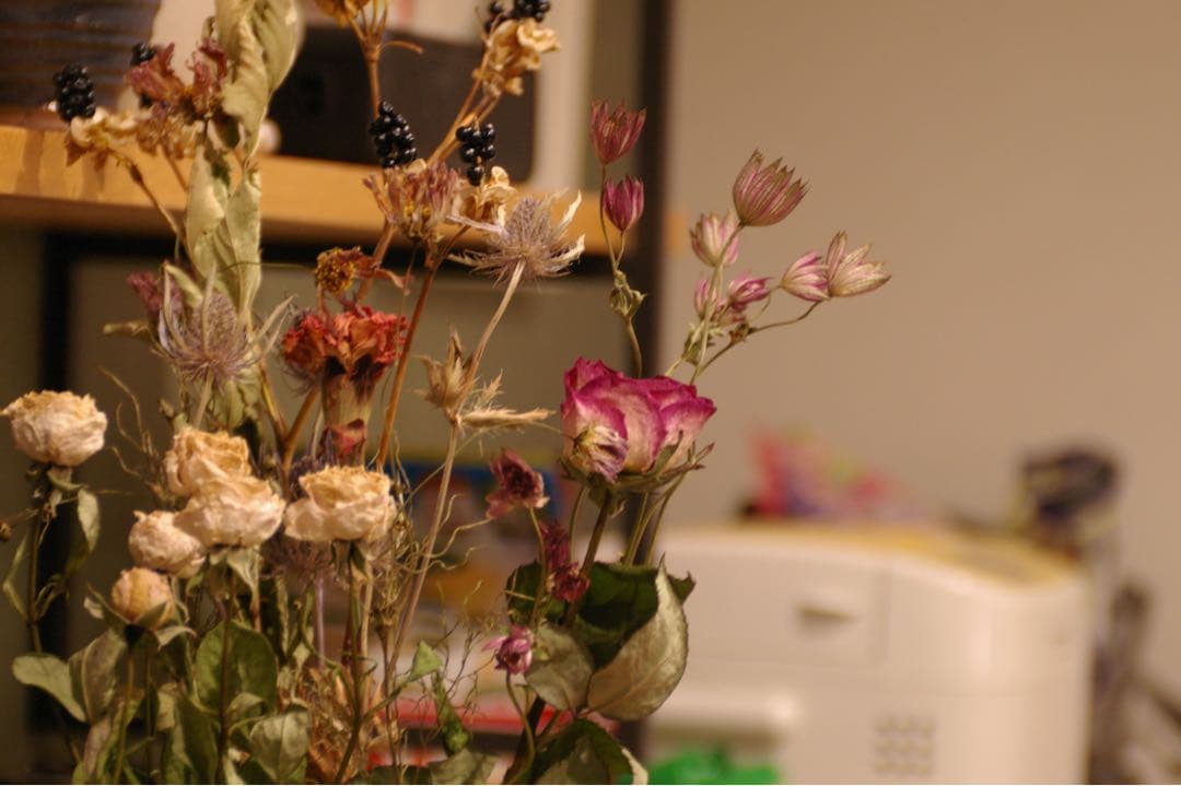 PENTAX ist DS CCDデジタル一眼レフ 28-105㍉レンズ　動作品