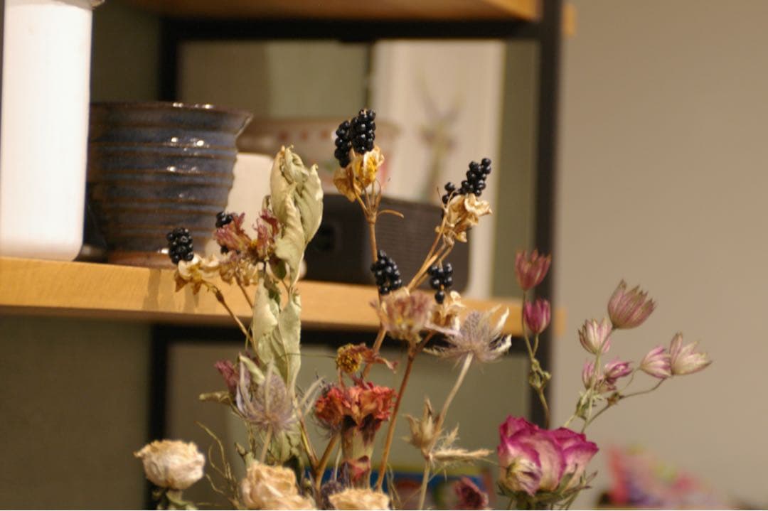 PENTAX ist DS CCDデジタル一眼レフ 28-105㍉レンズ　動作品