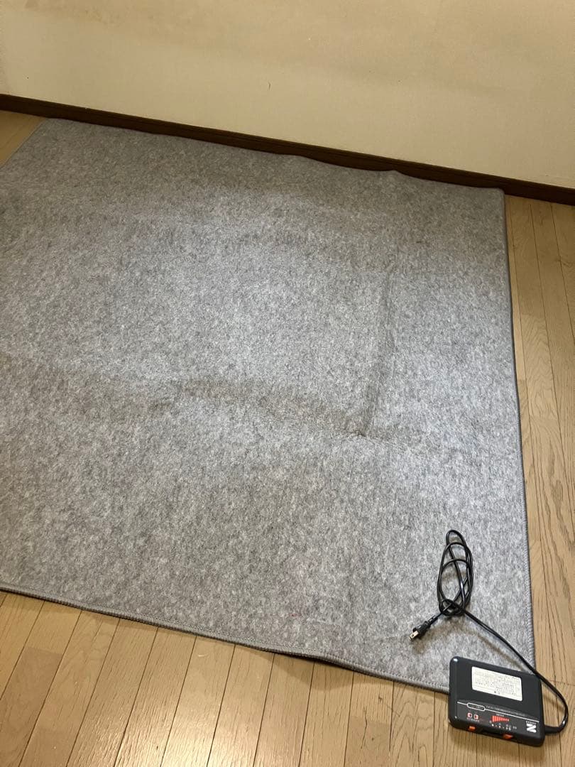 ゼンケン　ホットカーペット2畳用　2020年購入　本体のみ