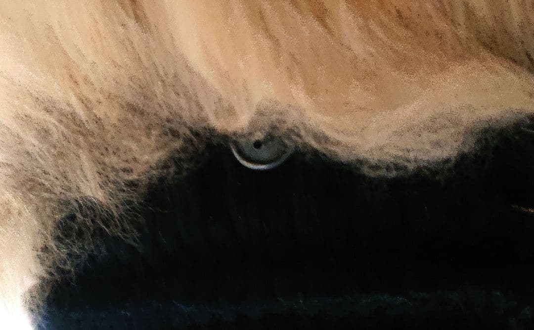 BARKダッフルコート ニットダウン S