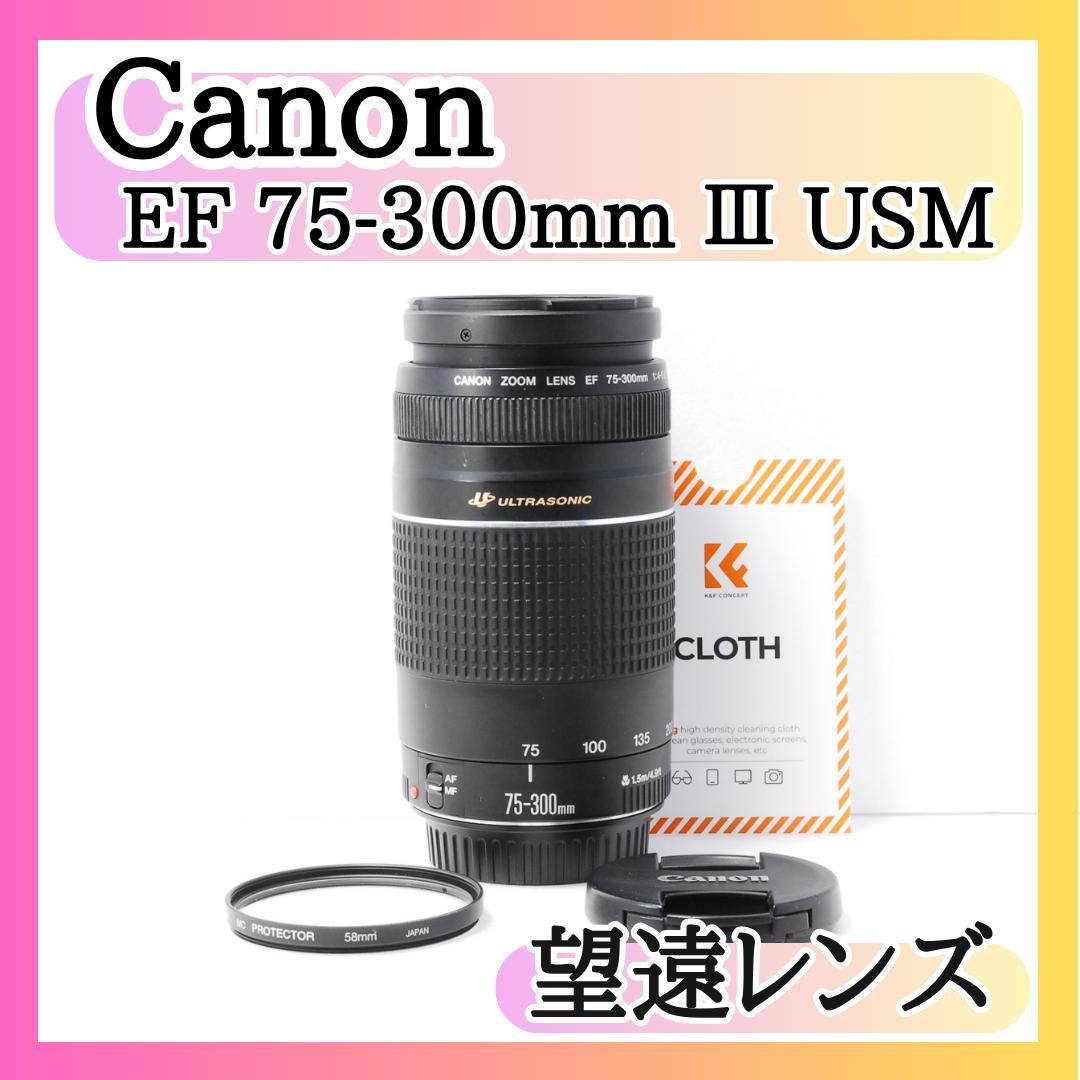 キヤノン Canon EF 75-300㎜ F4-5.6 Ⅲ USM 望遠