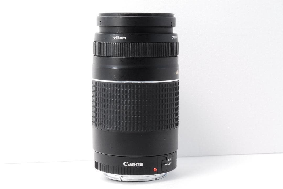 キヤノン Canon EF 75-300㎜ F4-5.6 Ⅲ USM 望遠